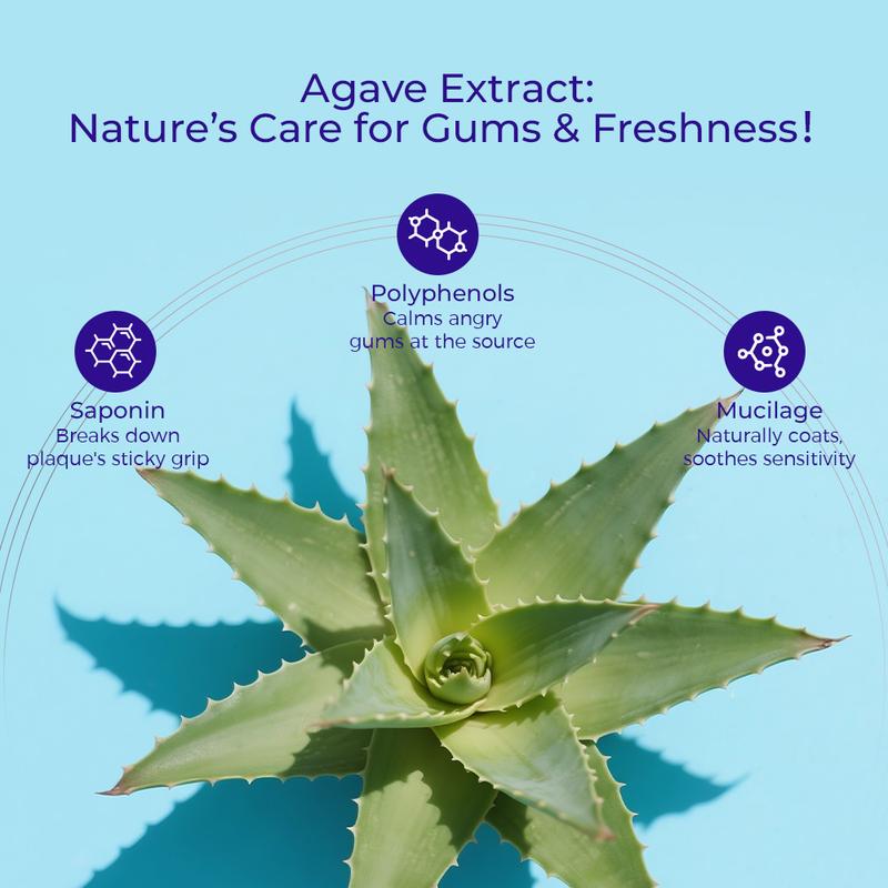OCCOTAPS Agave Natural Herbal Toothpaste with Blue Agave Extract Brightens Teeth Strengthens Enamel Fluoride-Free Probiotics Mint Niacinamide - Oral